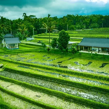 Kubu D'Ume Homestay