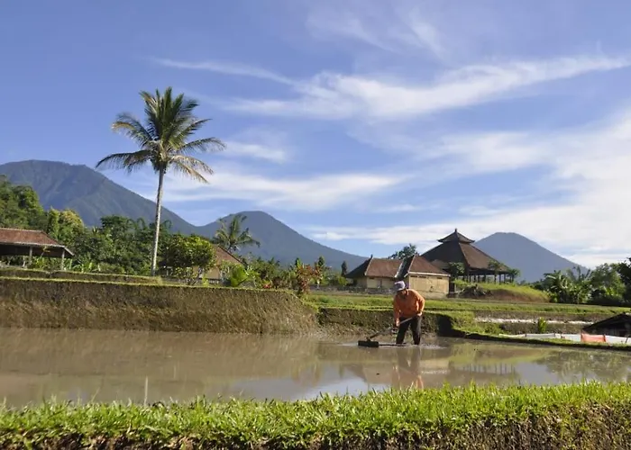Séjour chez l'habitant Kubu D'ume Jatiluwih