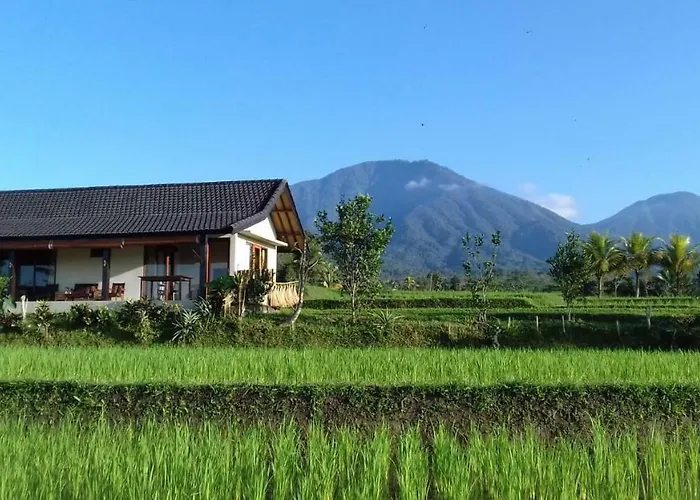 Séjour chez l'habitant Kubu D'ume Jatiluwih