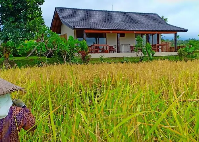 Kubu D'ume Jatiluwih